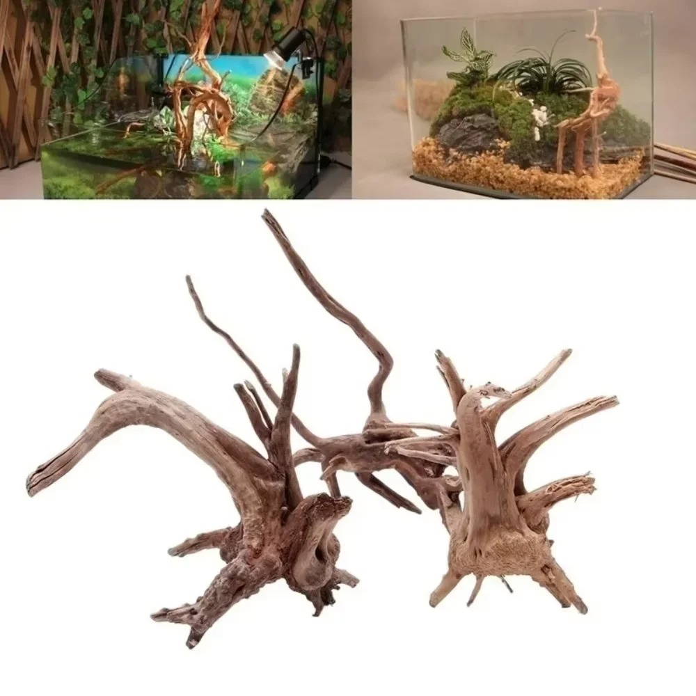 Aquarium Marine Fish - Legno Naturale per Acquario 15-20CM -