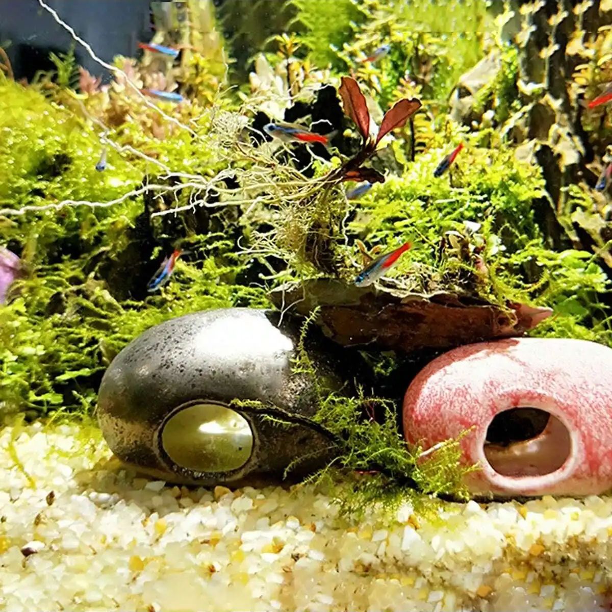 1 pz-250g Cristalli Naturali G - Aquarium Marine Sand recensione e prezzo