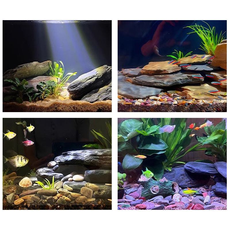 Kit di Pietre per Acquario 500 - Aquarium Marine Fish recensione e prezzo