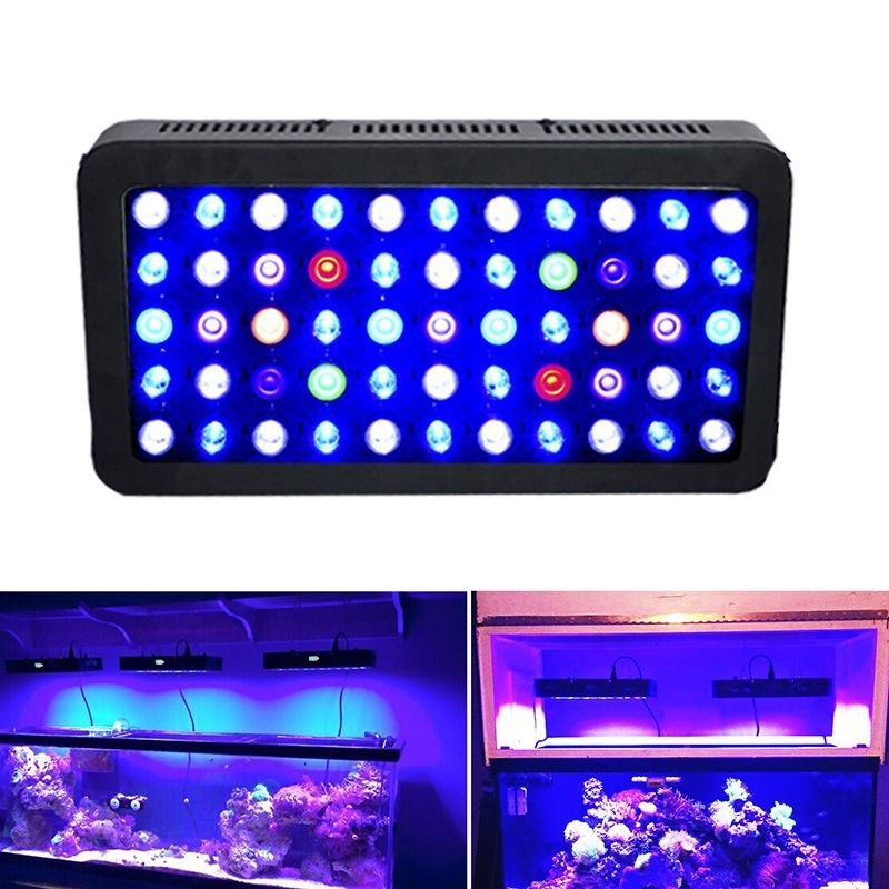 Luce per Acquario 165W, Contro - Marine Aquarium Timing recensione e prezzo