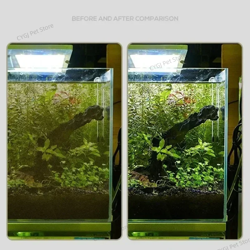 Strumento per la pulizia dell' - Aquarium Marine Sand recensione e prezzo