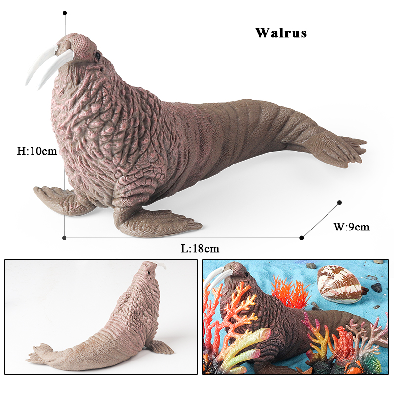 Oenux Nuovo Set di Modellini d - Marine Life Aquariums recensione e prezzo