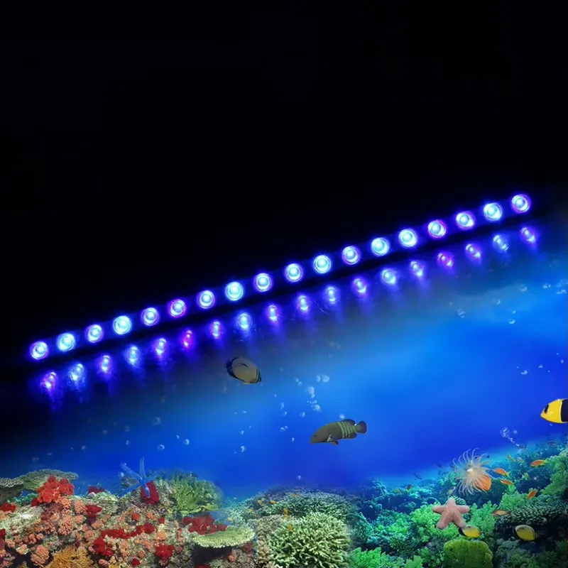 Lampada LED Dimmerabile con Ti - Marine Aquarium Timing recensione e prezzo