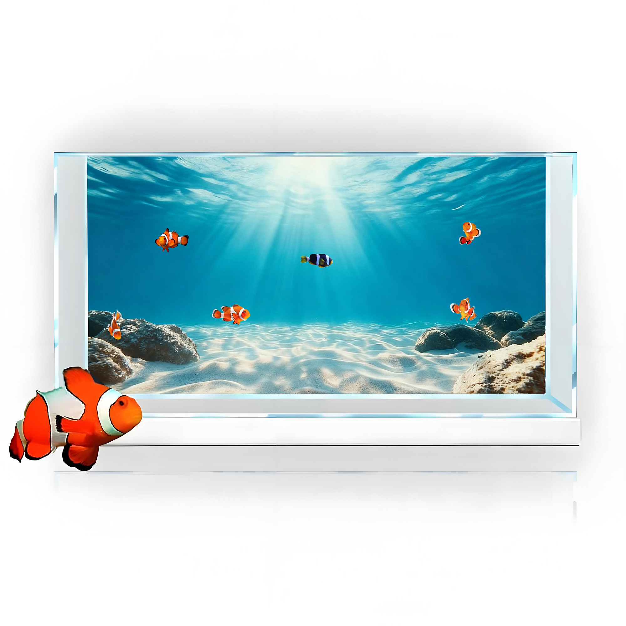 Sabbia Blu Trasparente, Decora - Aquarium Marine Sand recensione e prezzo