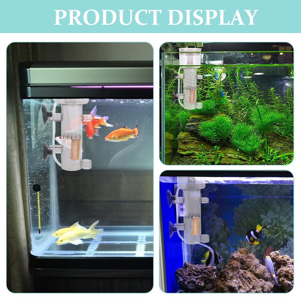 Skimmer per Proteine in Acrili - Marine Aquarium & Regional Centre recensione e prezzo