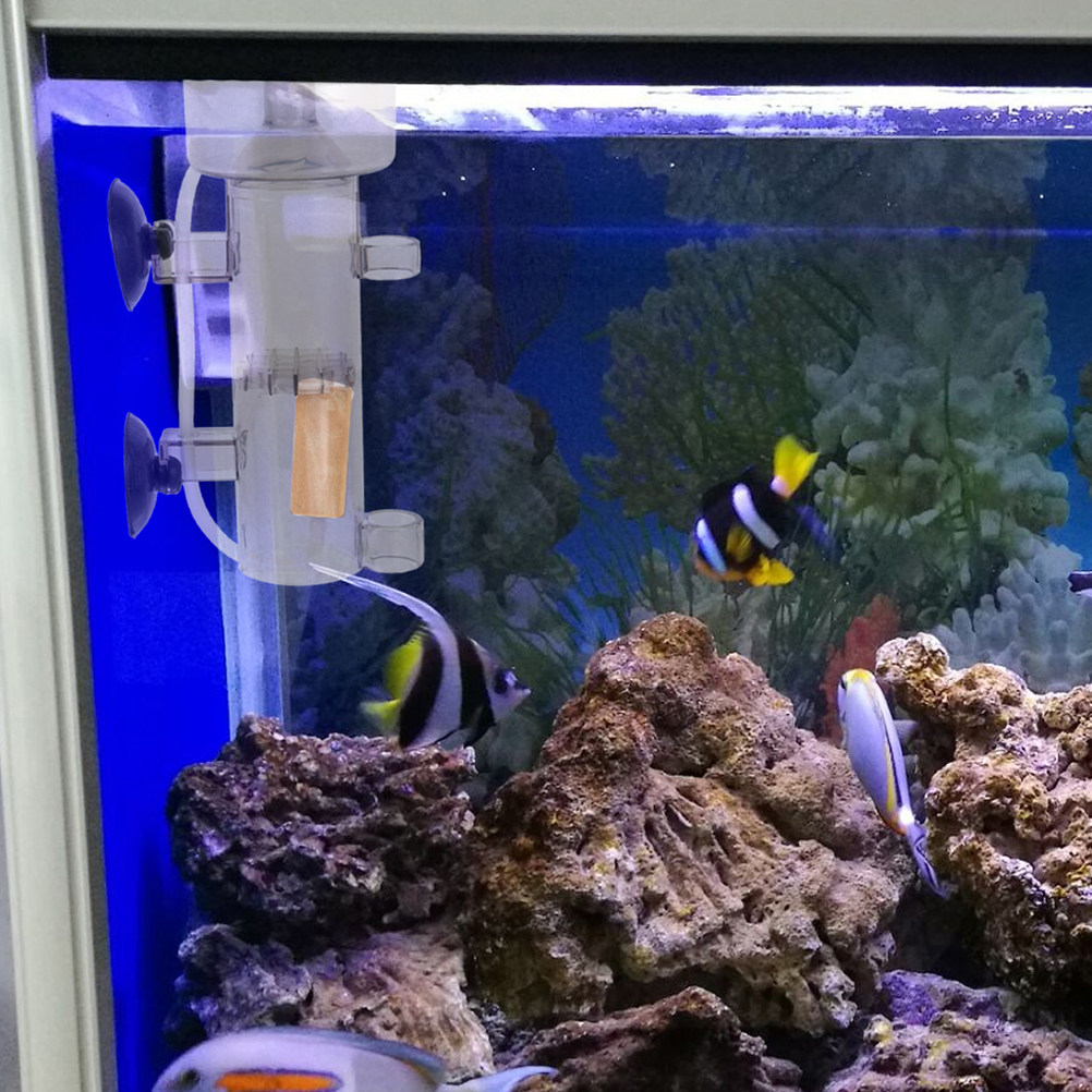 Skimmer per Proteine in Acrili - Marine Aquarium & Regional Centre recensione e prezzo