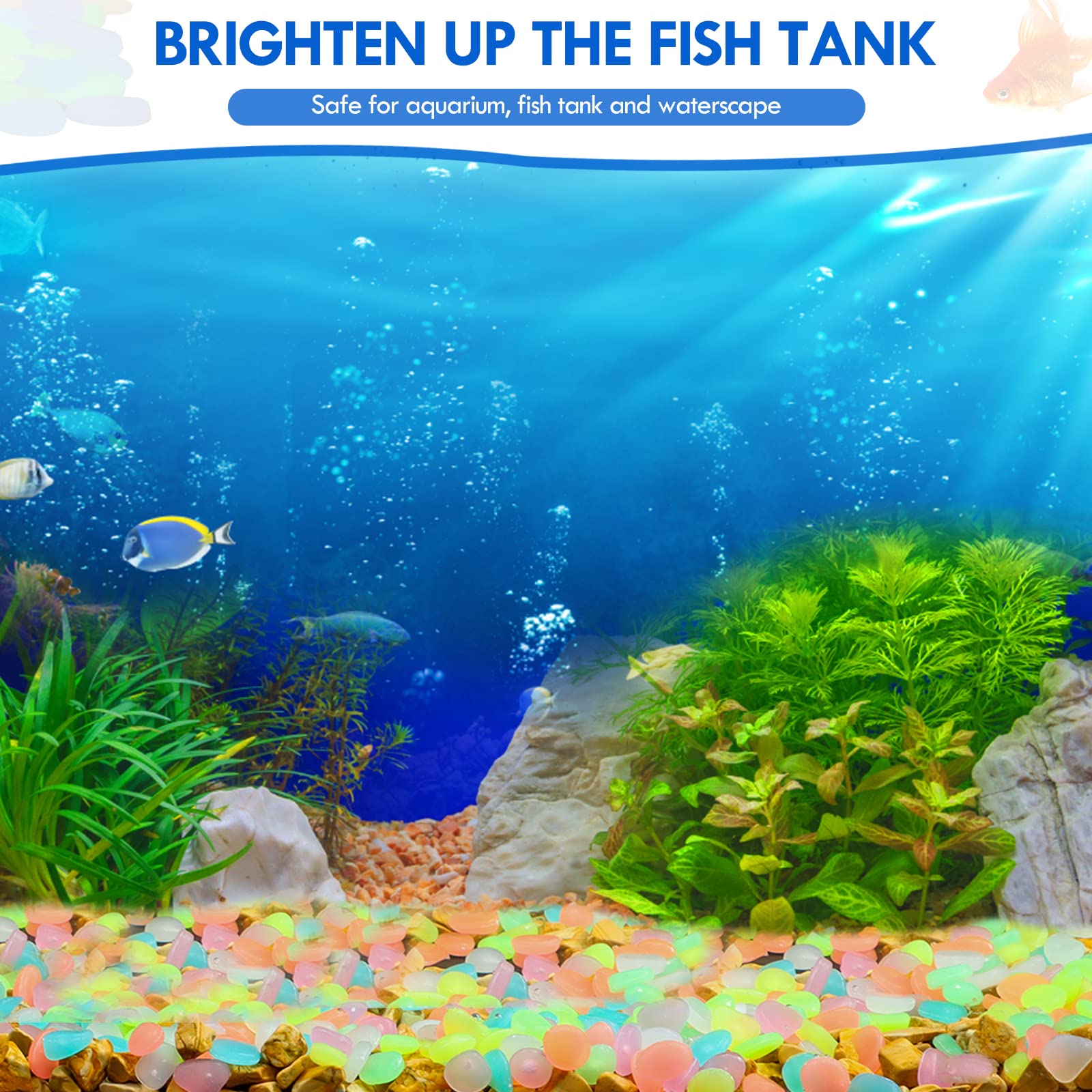 100 pezzi che si illuminano al - Aquarium Marine Fish recensione e prezzo