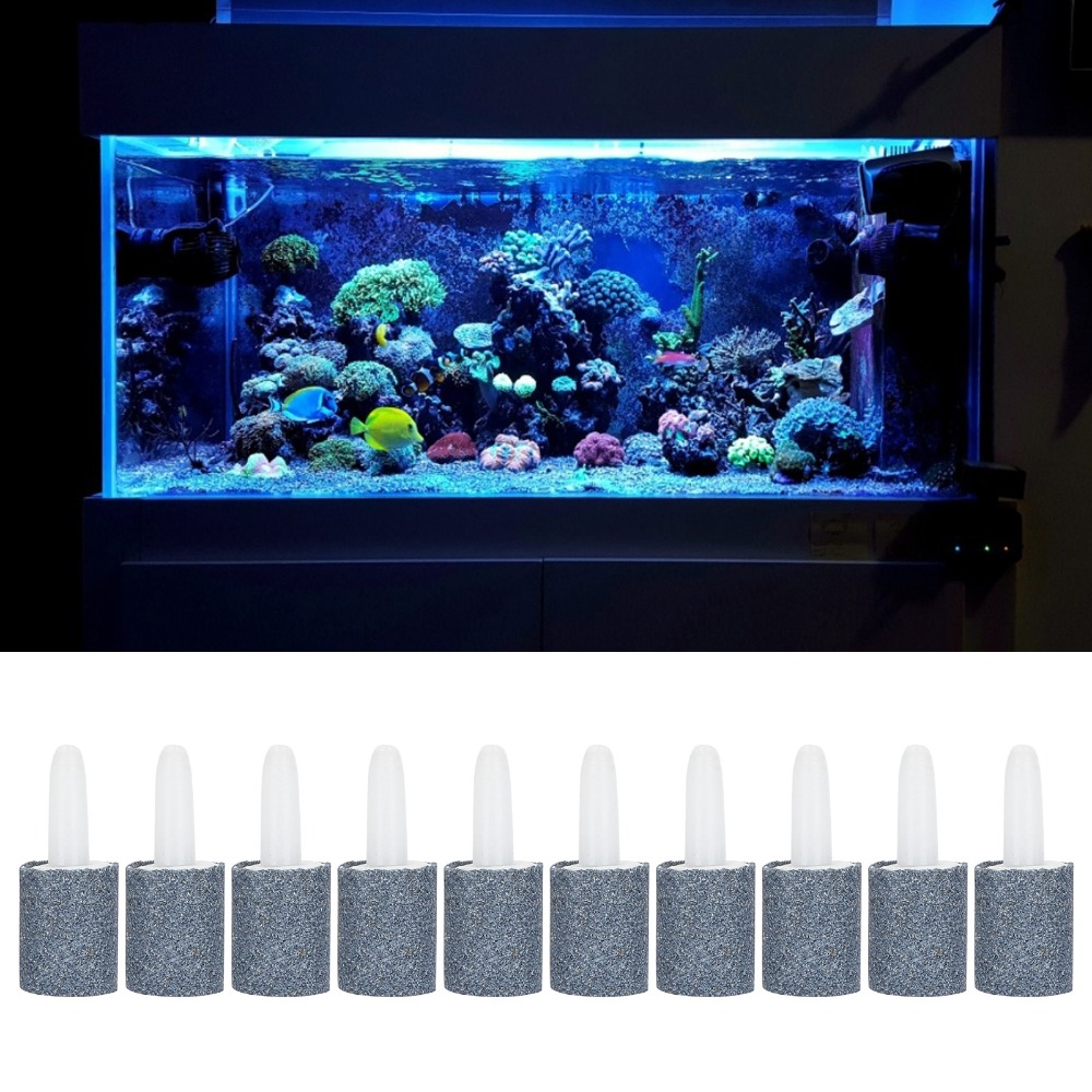10 PZ Set Forma di Cilindro Ac - Aquarium Marine Sand recensione e prezzo