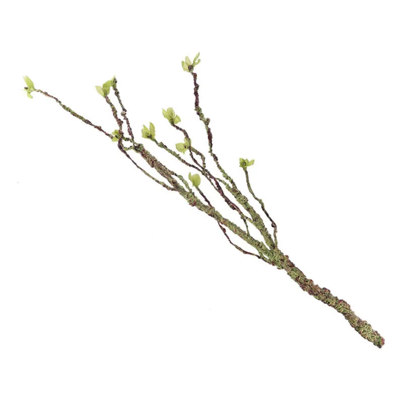 Viti Decor Rami da arrampicata - Aquarium Marine Fish recensione e prezzo