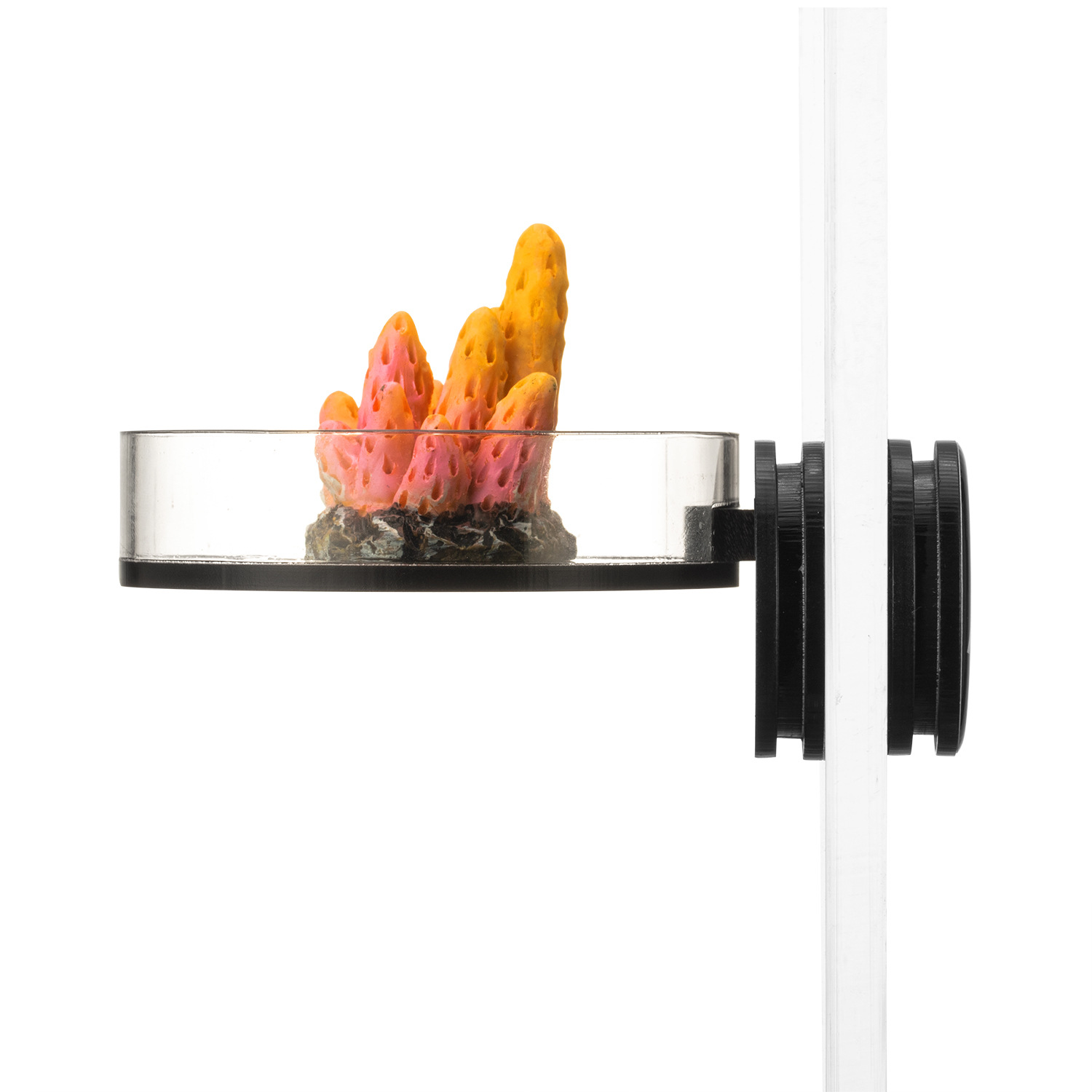 Marine Sources Rack per fram d - Marine Aquarium & Regional Centre recensione e prezzo