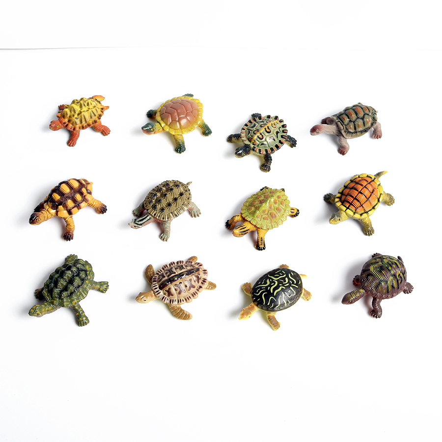 Miniature realistiche vita mar - Marine Aquarium & Regional Centre recensione e prezzo