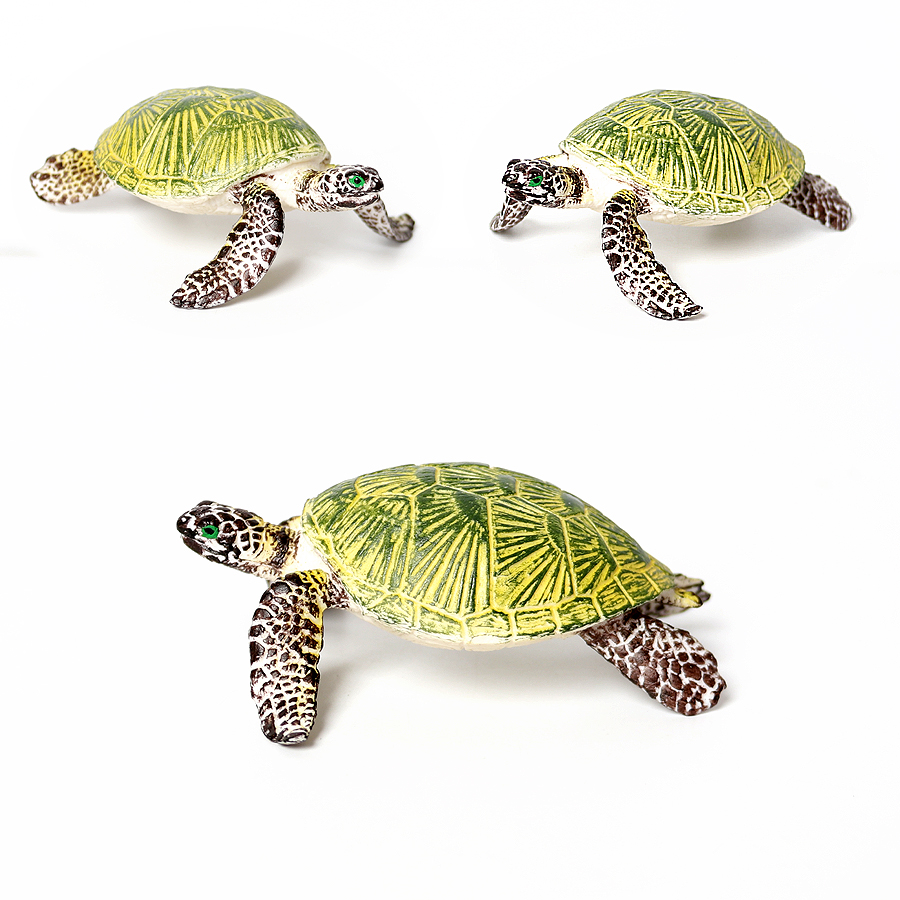 Miniature realistiche vita mar - Marine Aquarium & Regional Centre recensione e prezzo
